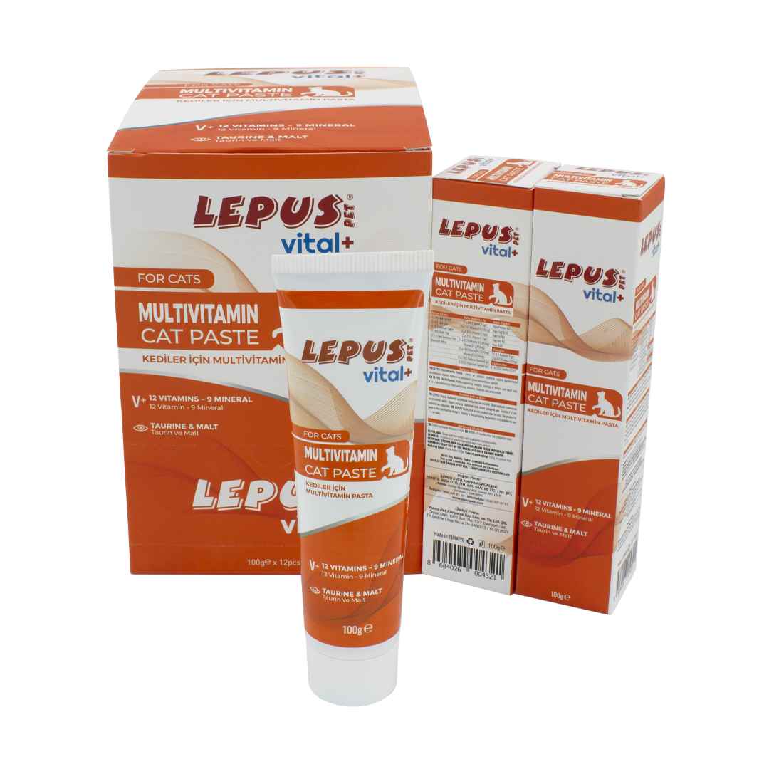 Multivitamin Paste Cat (12