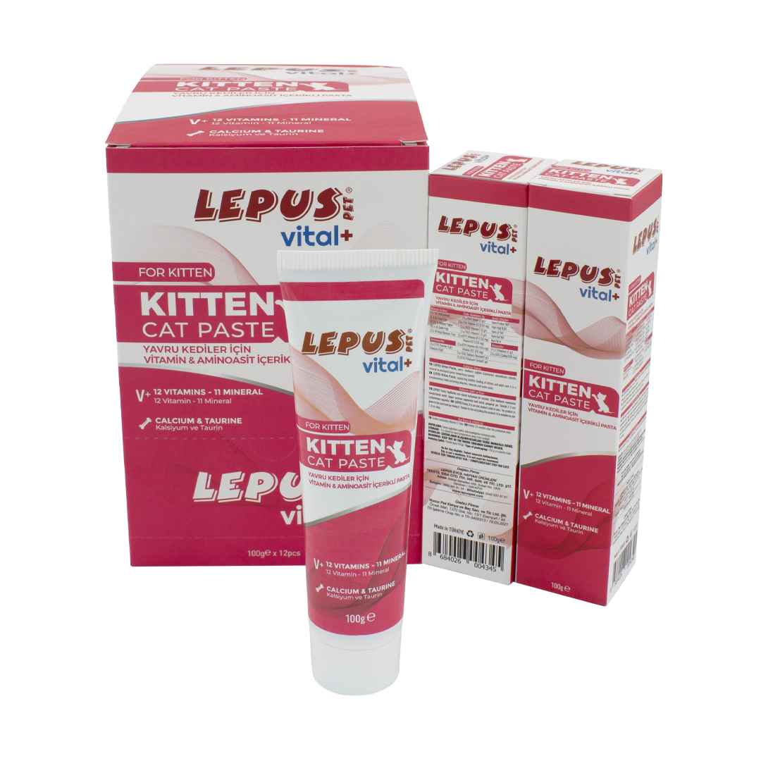 Kitten Cat Paste (12