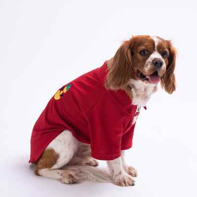 Pineapple Polo Shirt (4'lü Set)