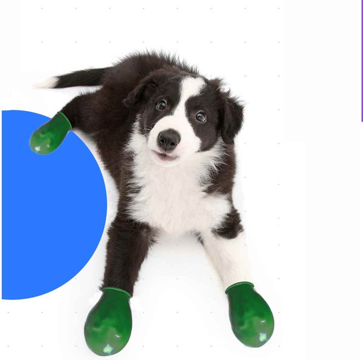 Walkies Galoş Patik M Yeşil