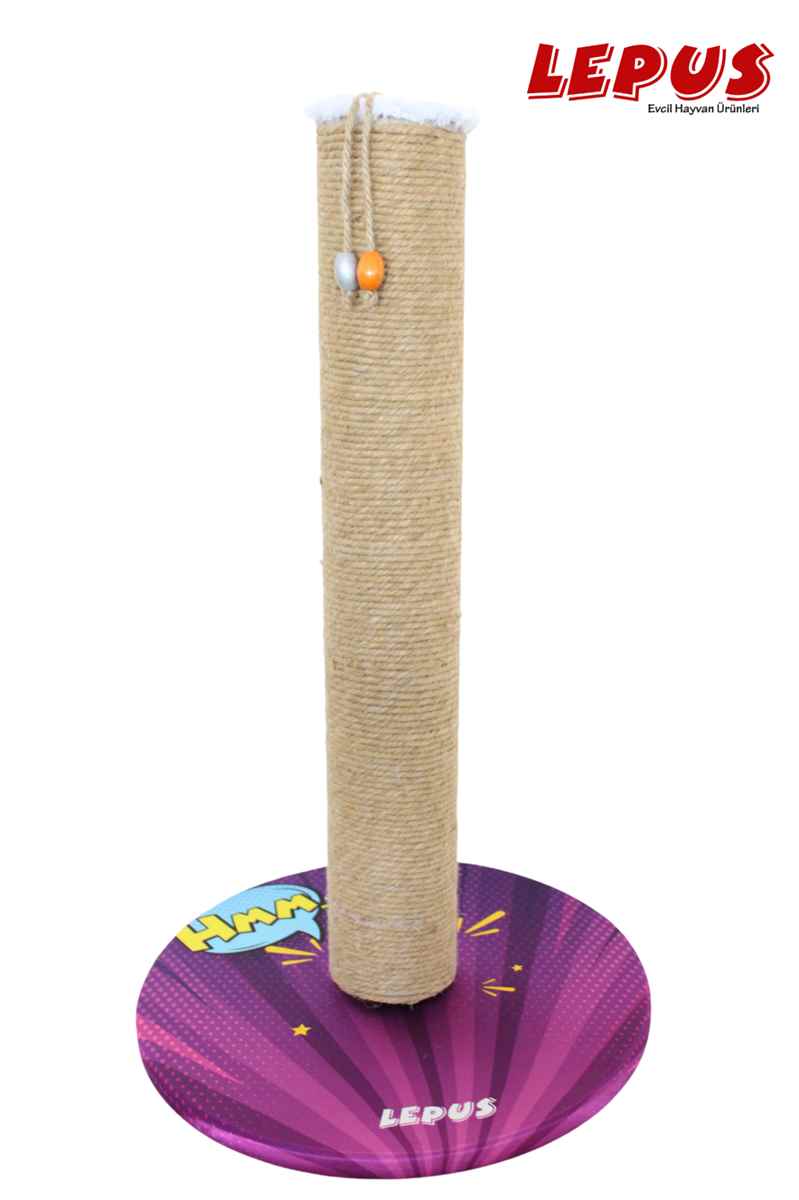 YUVARLAK TABAN TIRMALAMA HMM