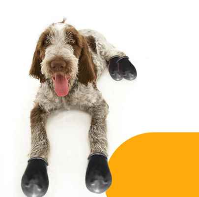 Walkies Galoş Patik XS Siyah