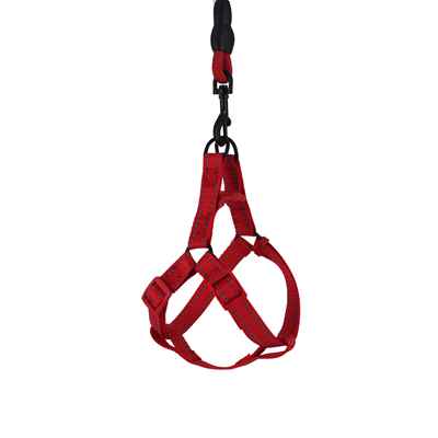 KÖPEKLER İÇİN GÖĞÜS+FİTİL GEZDİRME TASMASI 12MM