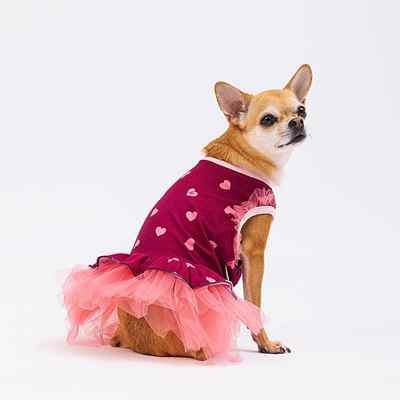 Tiny Hearts Dress (5'li Set)