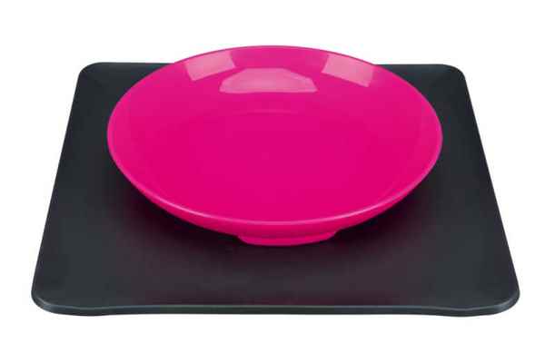 Trixie Kedi/Köpek Kaymaz Altlıklı Mama Kabı 400 ml