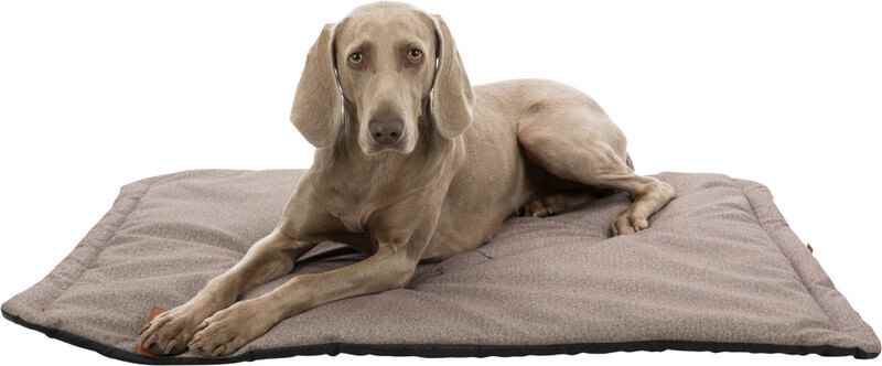 Trixie Köpek Yatağı, Yumuşak ve İnce, 100x70cm, Kum Beji