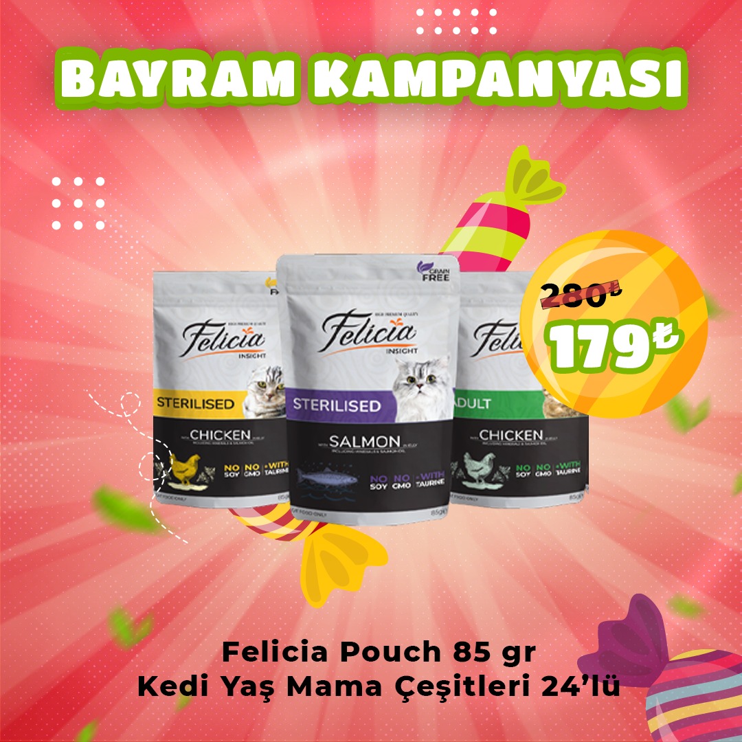Felicia Pouch 85 gr Kedi Yaş Mama Çeşitleri 24