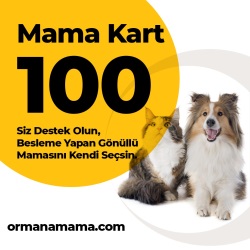 Mama Hediye Kartı  100