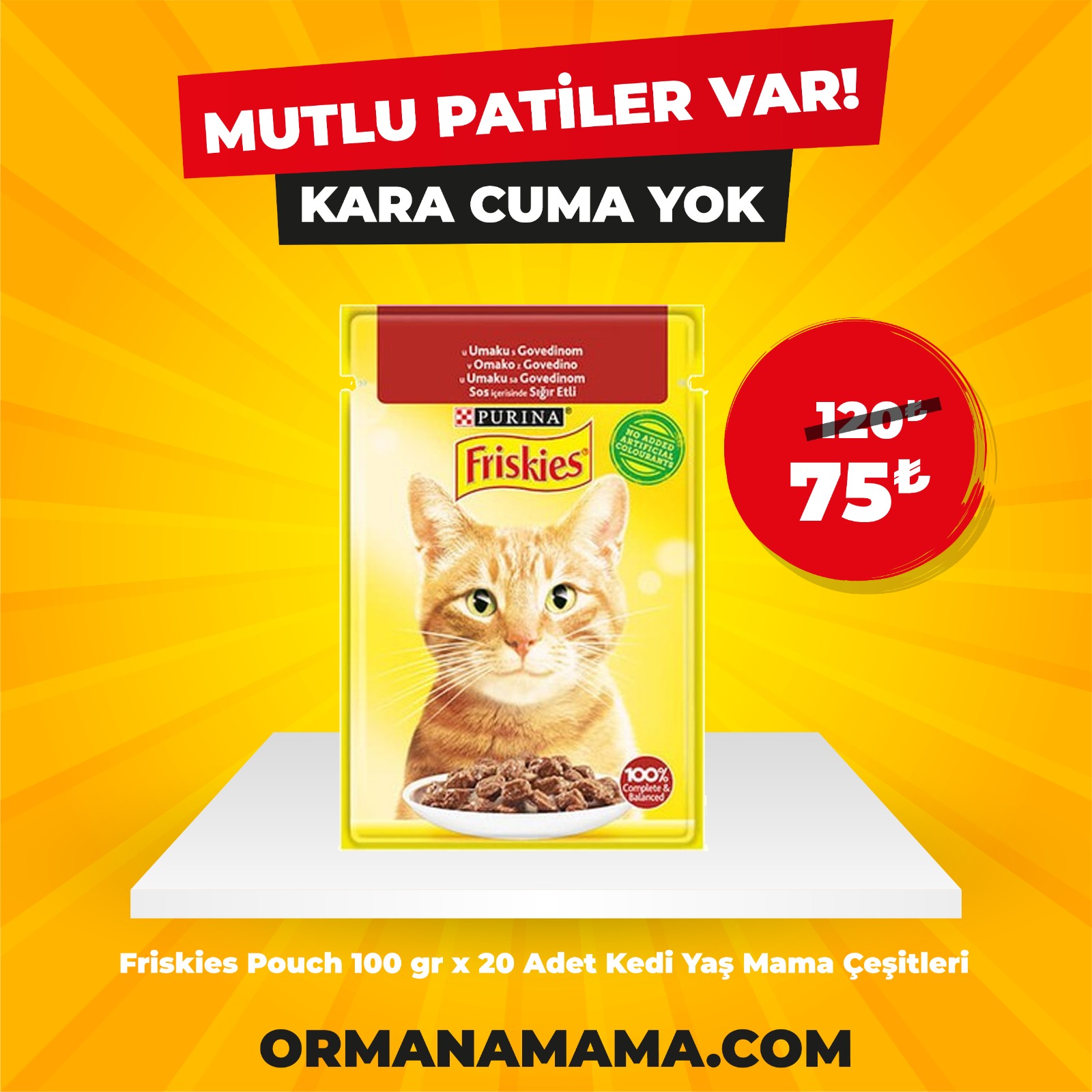 Friskies Pouch 100 Gr x 20 Adet + 6 Adet Hediyeli