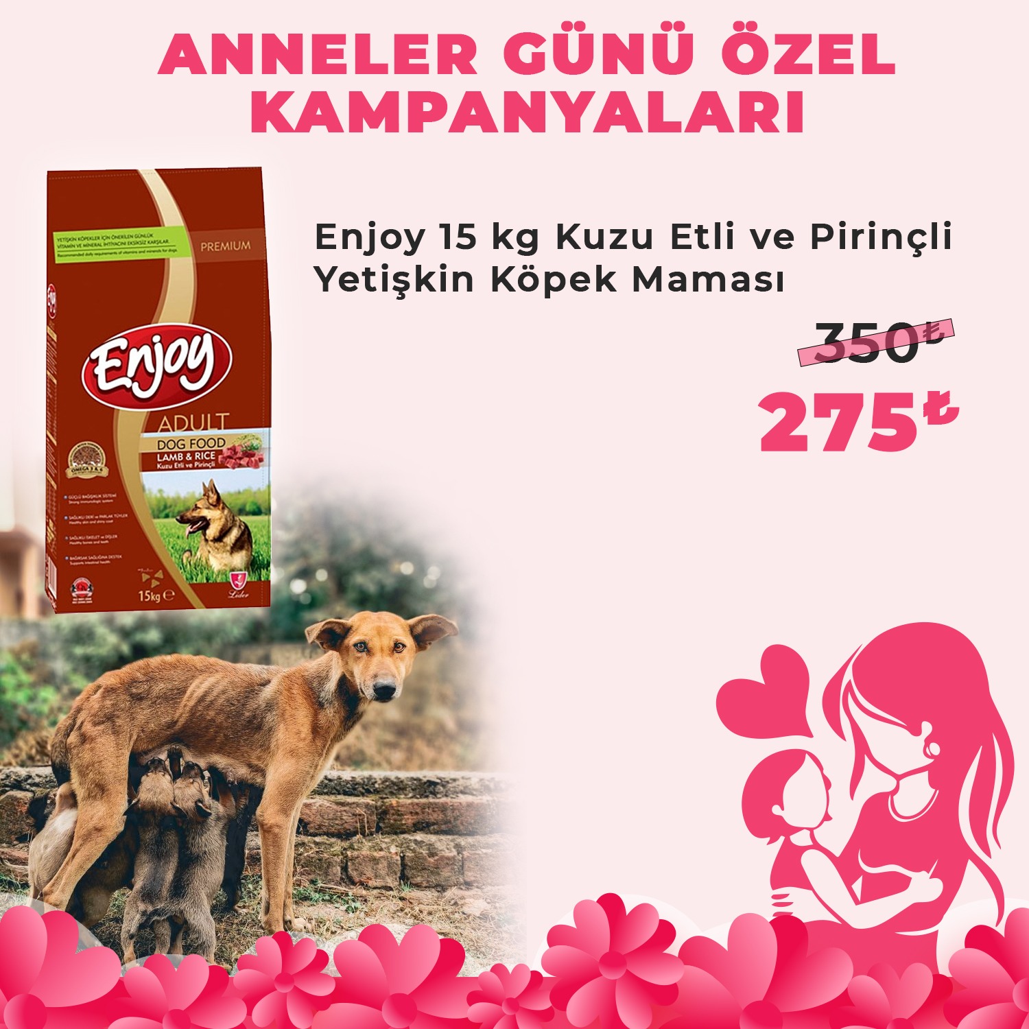 Enjoy 15 Kg Yetişkin Kuzu Etli Pirinçli Yetişkin Köpek Maması + 1 Adet Pedigree  Ödül Maması Hediyeli