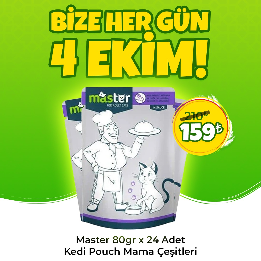 Master Av Hayvanlı Yetişkin Kedi Pouch Mama 80 grx24 Adet