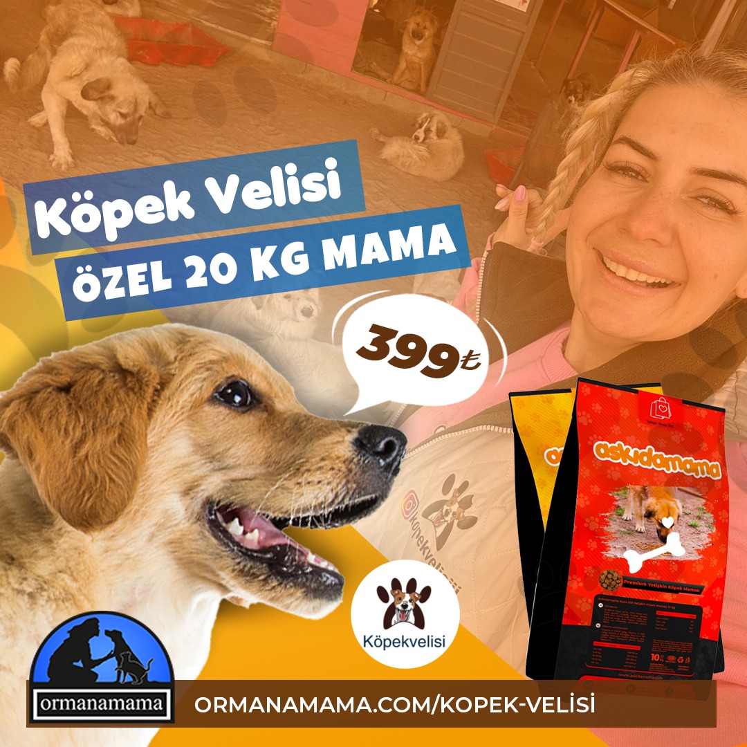 Köpek Velisi Özel 20Kg Mama Avantaj Paketi