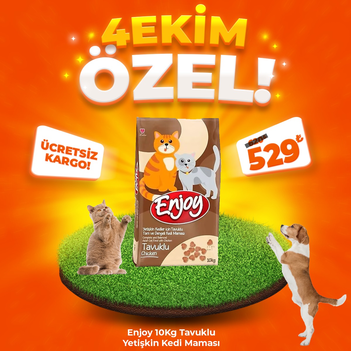 Enjoy Tavuklu Yetişkin Kedi Maması 10 Kg (4 Ekim Özel)