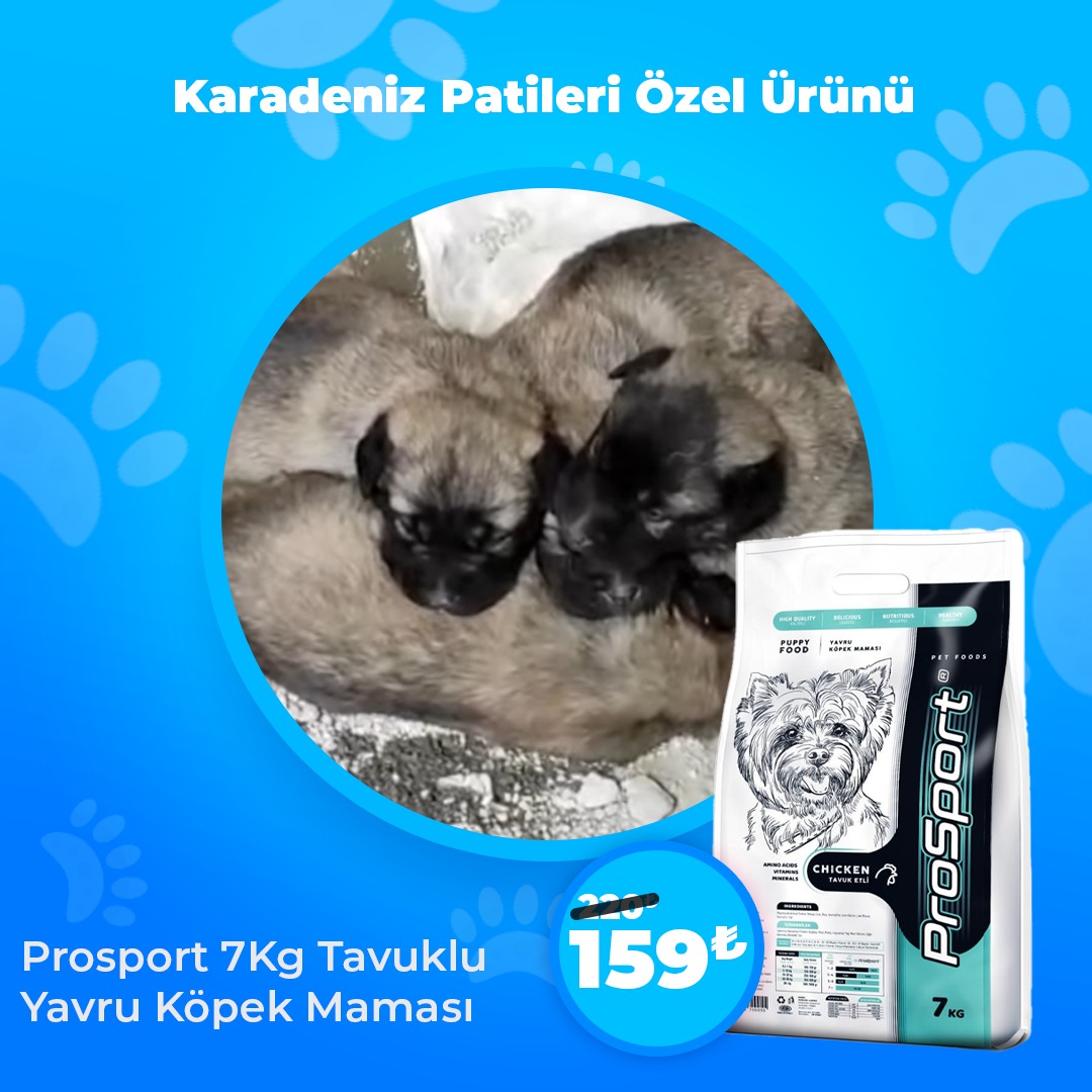 Karadeniz Patileri Özel Ürünü