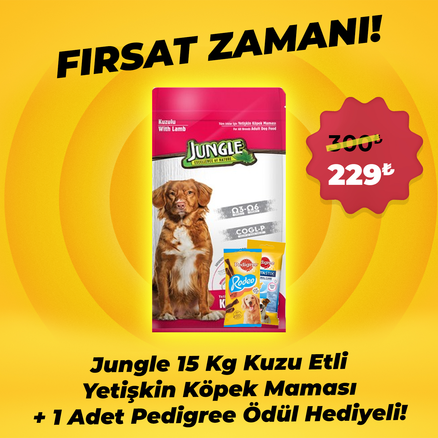 Jungle 15 Kg Kuzu Etli Yetişkin Köpek Maması + 1 Adet Pedigree Ödül Hediye