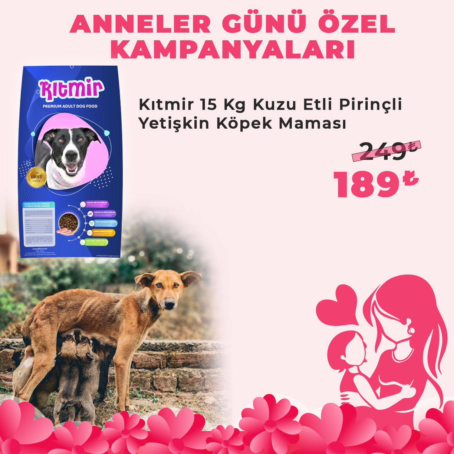 Kıtmir 15 Kg Kuzu Etli Pirinçli Premium Yetişkin Köpek Maması