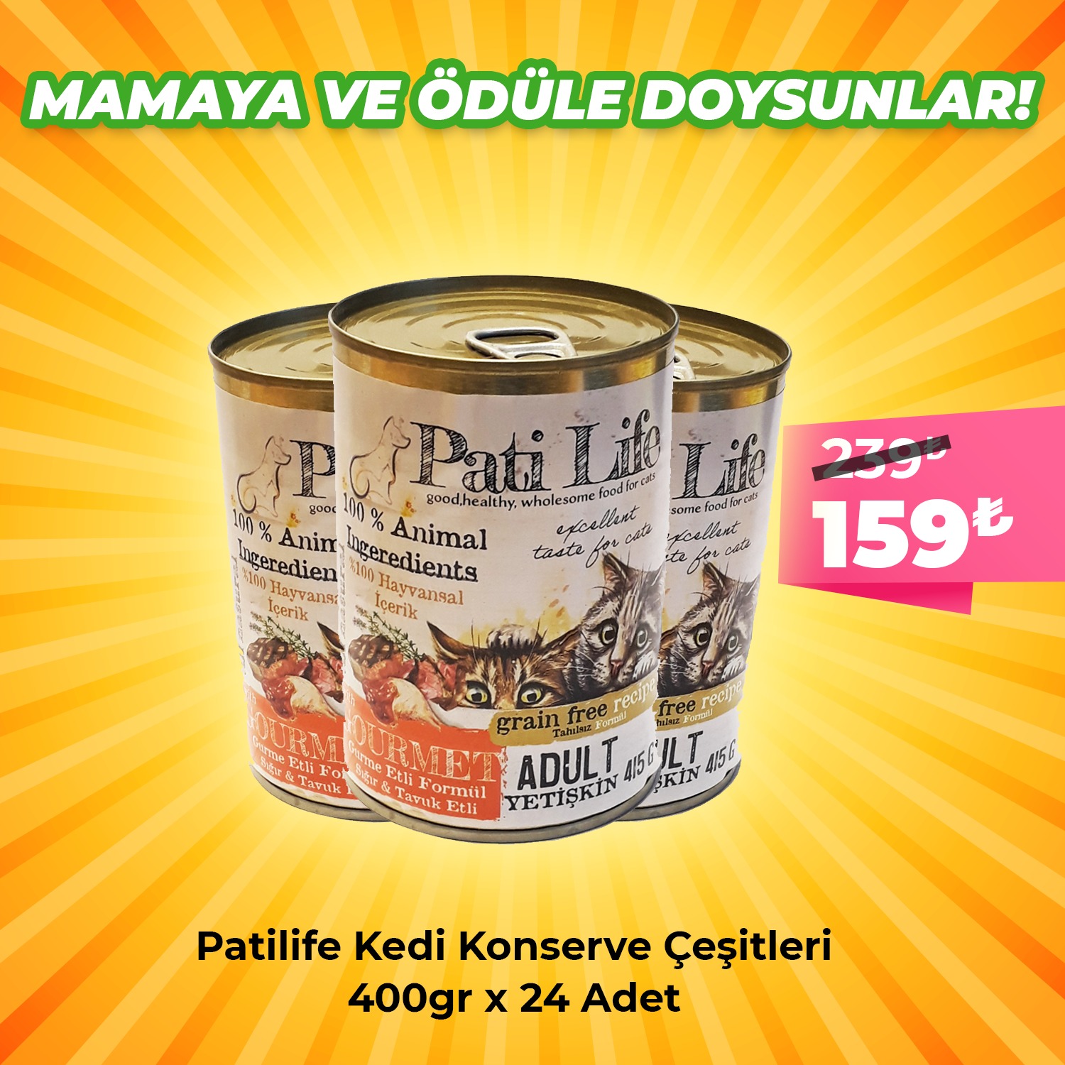 Pati Life 24'lü Patilife 415 Gr Yetişkin Konserve Kedi Maması 