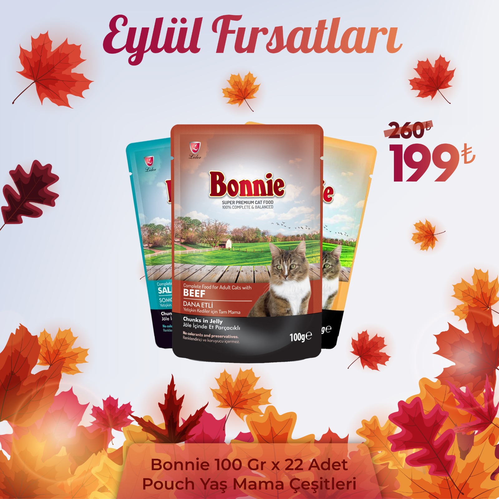 Bonnie Pouch Kedi Maması Çeşitleri 85gr x 22 Adet
