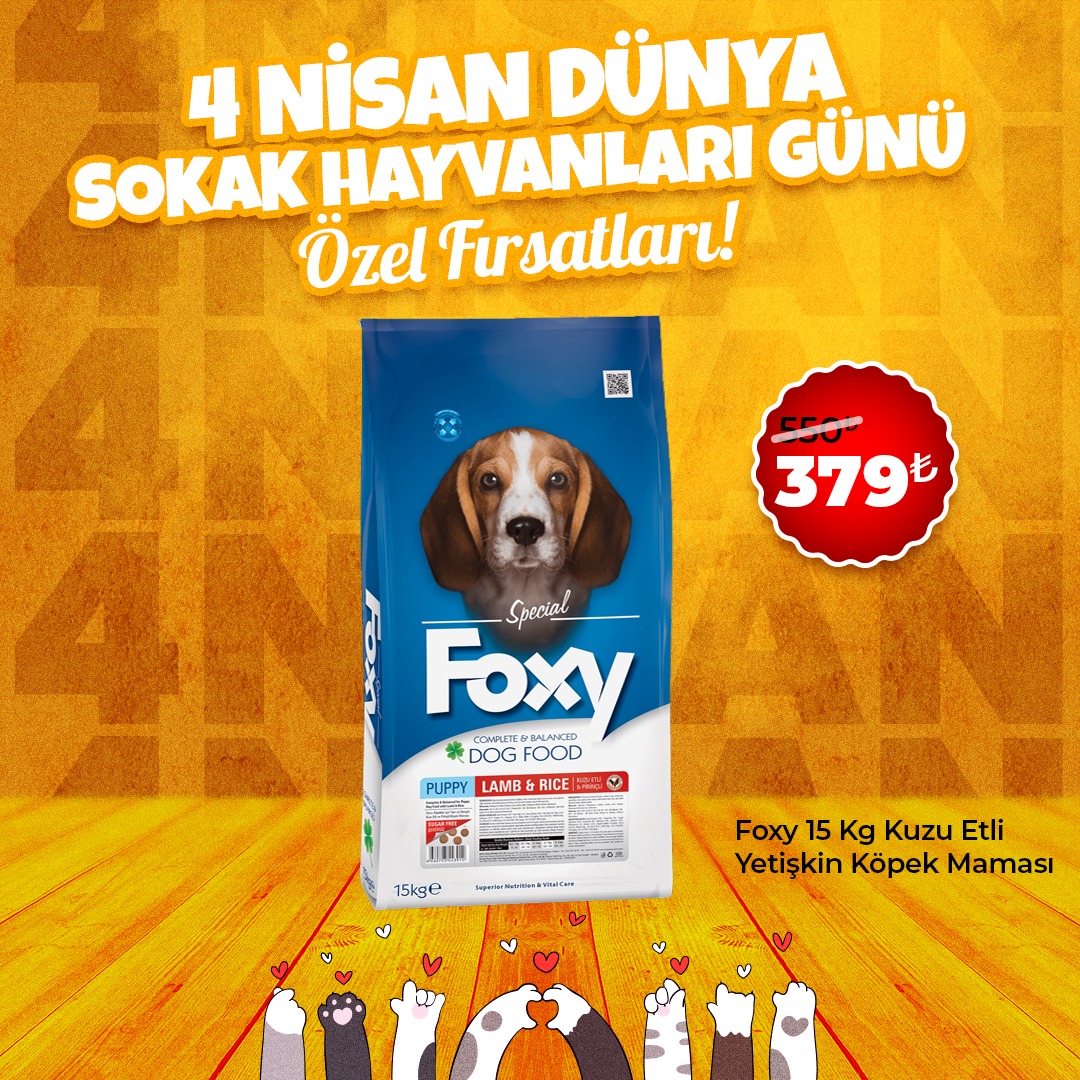 Foxy Kuzu Etli Yetişkin Köpek Maması 15 Kg