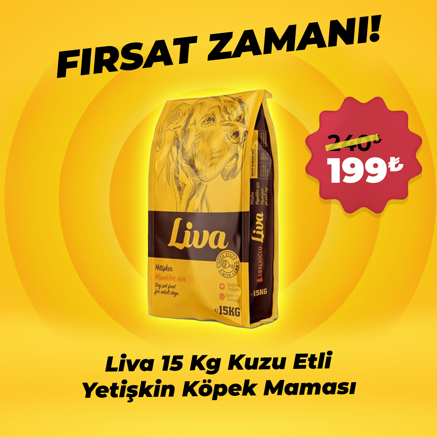 Liva 15 Kg Kuzu Etli Yetşkin Köpek Maması