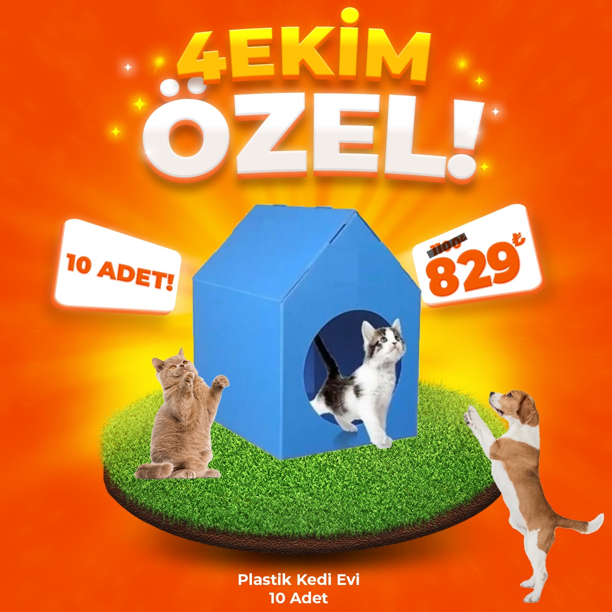 Plastik Kedi Evi 10 Adet