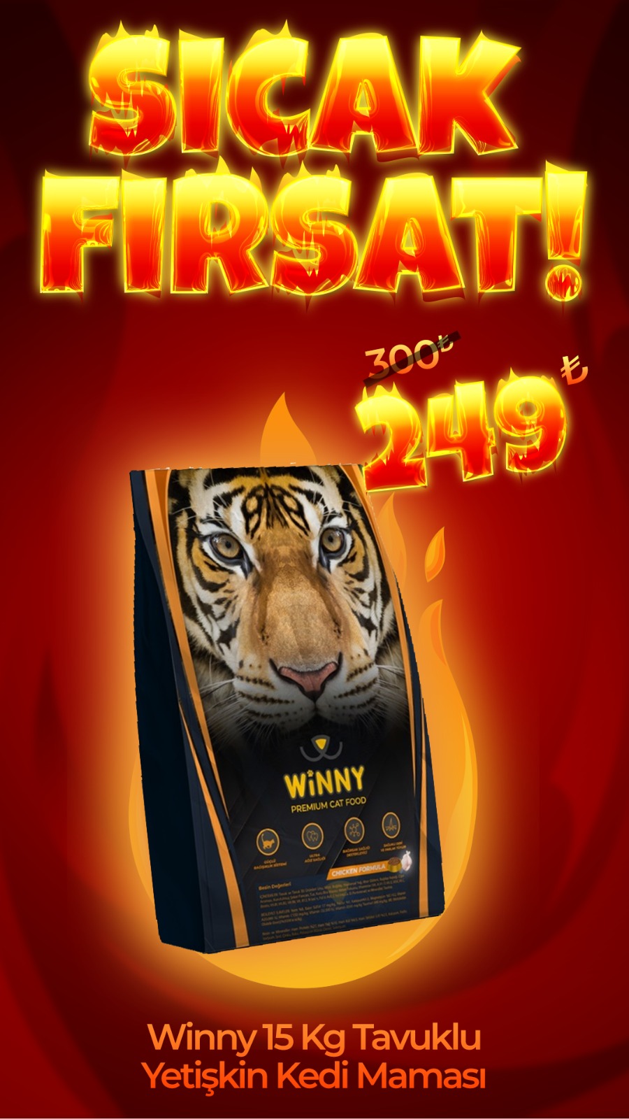 Winny Premium 15 Kg Tavuklu Yetişkin Kedi Maması (Direkt Alım)