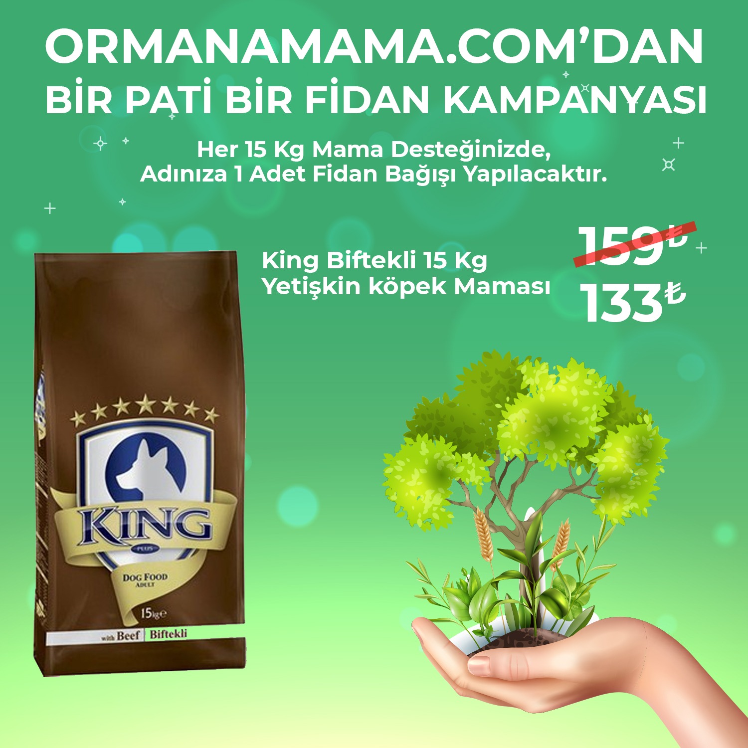 King 15 Kg Biftekli Yetişkin Köpek Maması (Fidan Hediyeli)