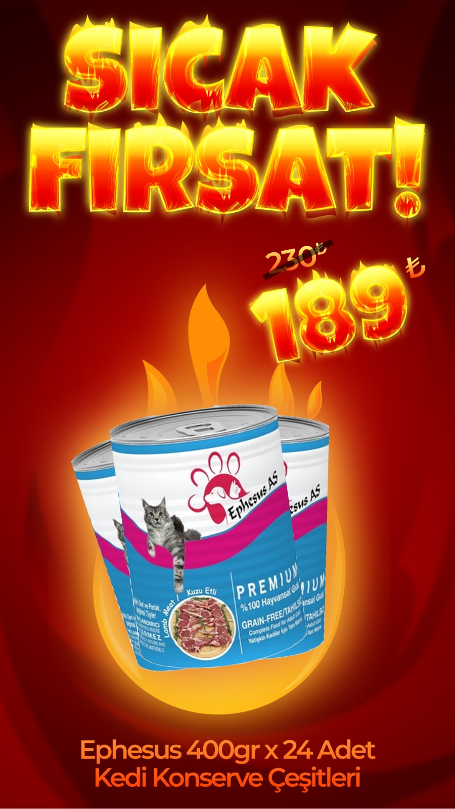 Ephesus As 415 gr x 24 Adet Kedi Konserve Çeşitleri (Direkt Alım)