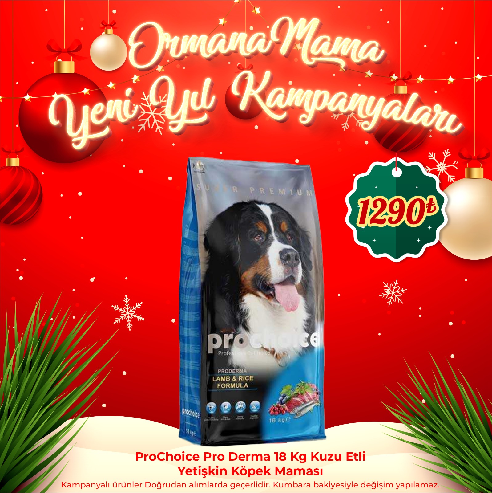 ProChoice Pro Derma 18 Kg Kuzu Etli Yetişkin Köpek Maması