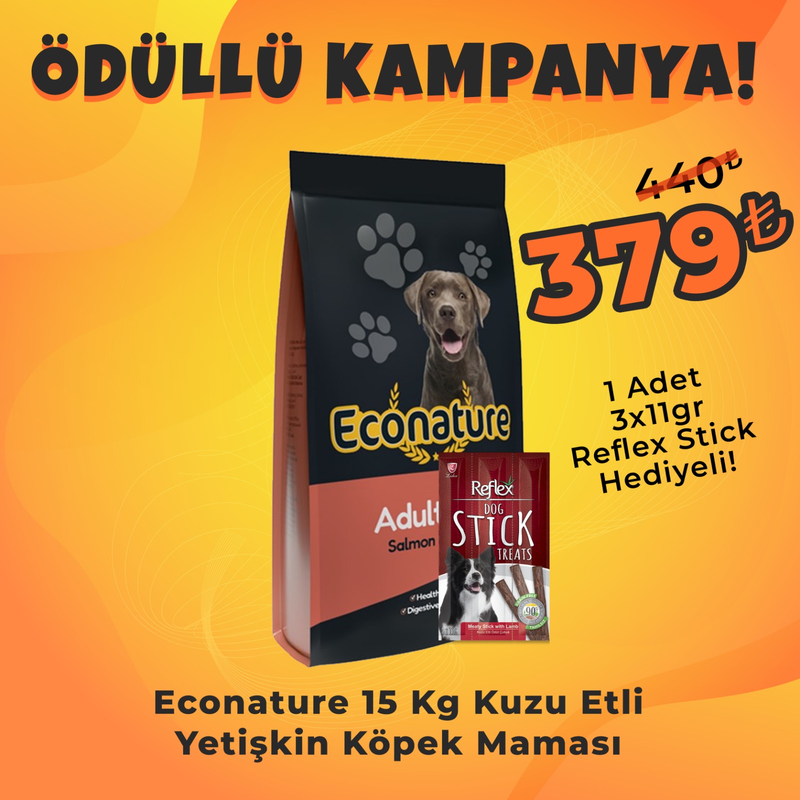Econature Somonlu Yetişkin Köpek Maması 15 kg + Reflex Köpek Stick Ödül Hediyeli 3x11 Gr