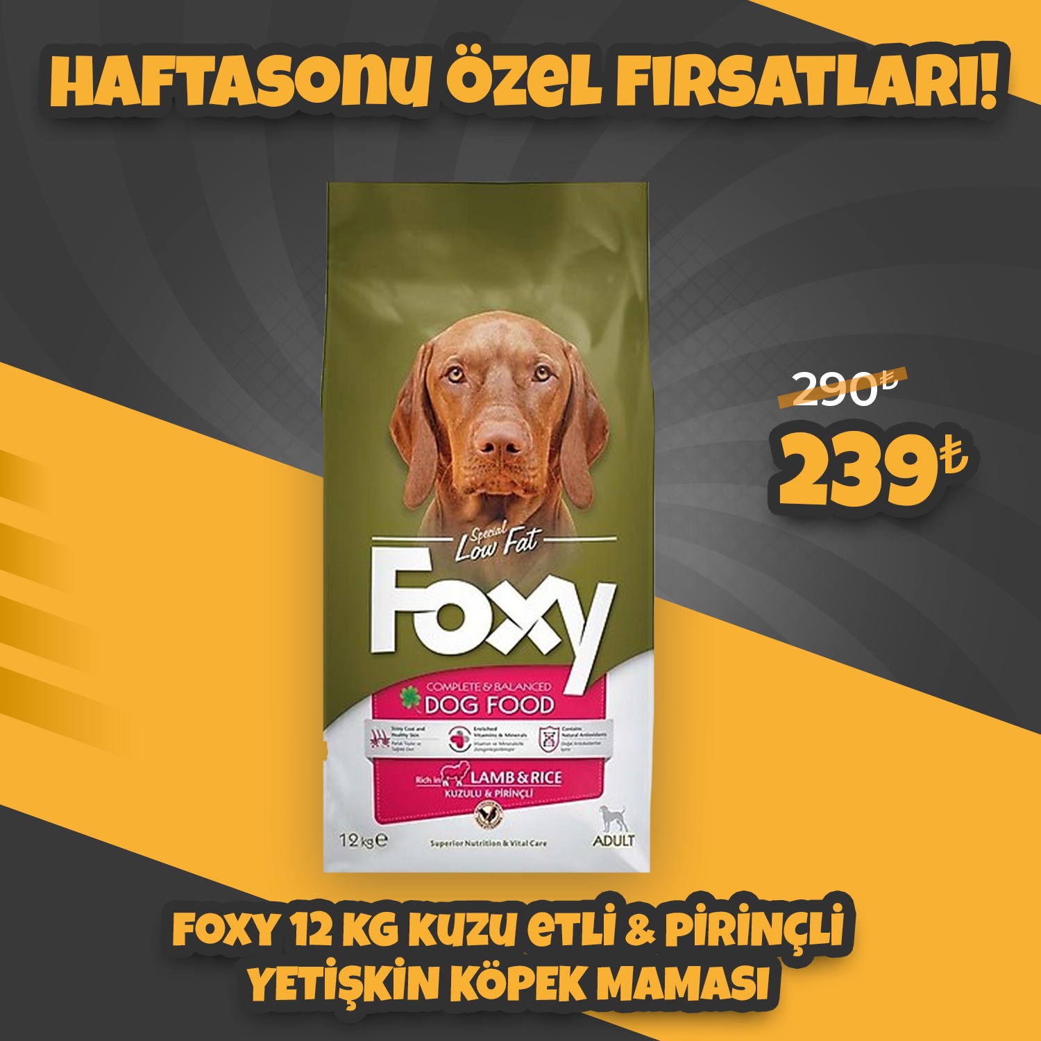 Foxy 12 Kg Kuzu Etli Yetişkin Köpek Maması