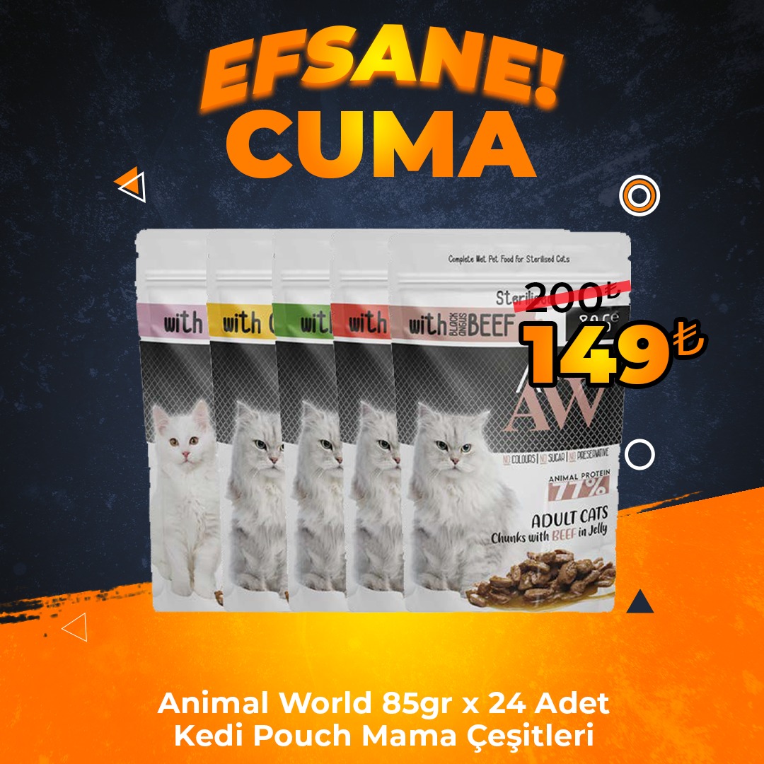 Animal World 100 gr x 24 Adet Kedi Pouch Mama Çeşitleri