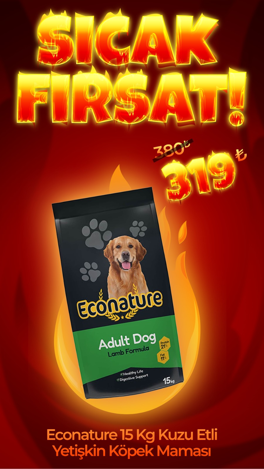 Econature Kuzu Etli 15 Kg Yetişkin Köpek Maması (Direkt Alım)