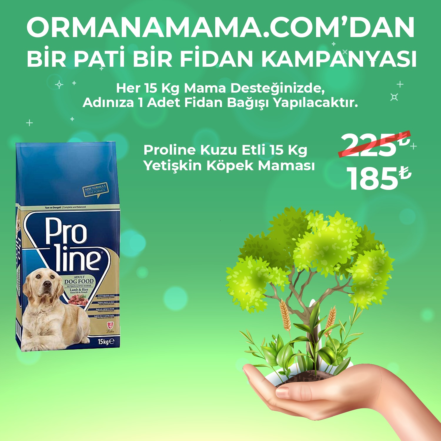 Proline Kuzu Etli Pirinçli Köpek Maması 15 Kg (Fidan Hediyeli)