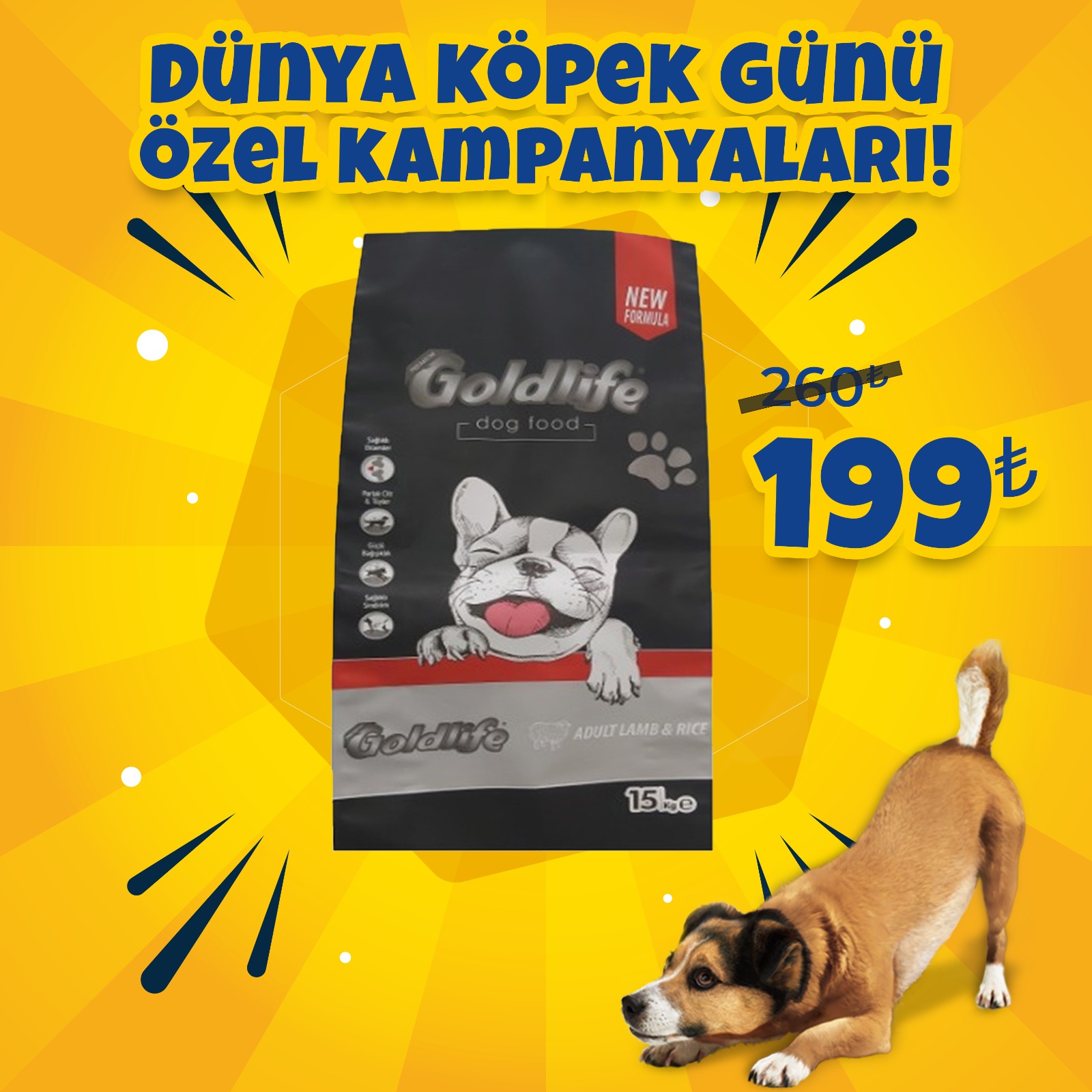 Goldlife 15 Kg Kuzu Etli Pirinçli Yetişkin Köpek Maması