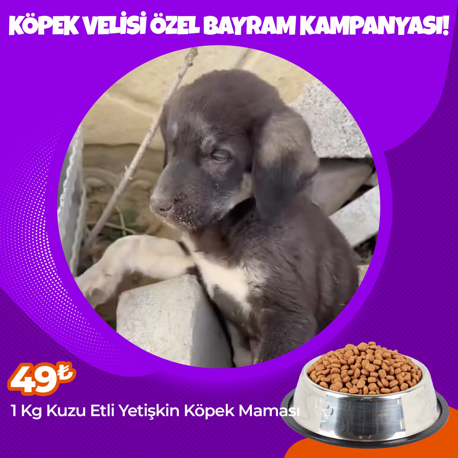 Köpek Velisi Özel Bayram Kampanyası