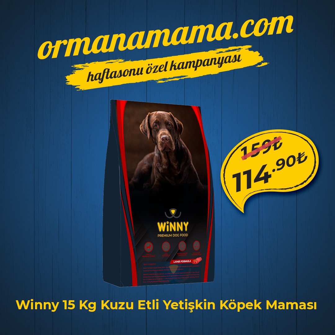 Winny Premium 15 Kg Kuzu Etli Yetişkin Köpek Maması + Pedigree Ödül Maması Hediyeli