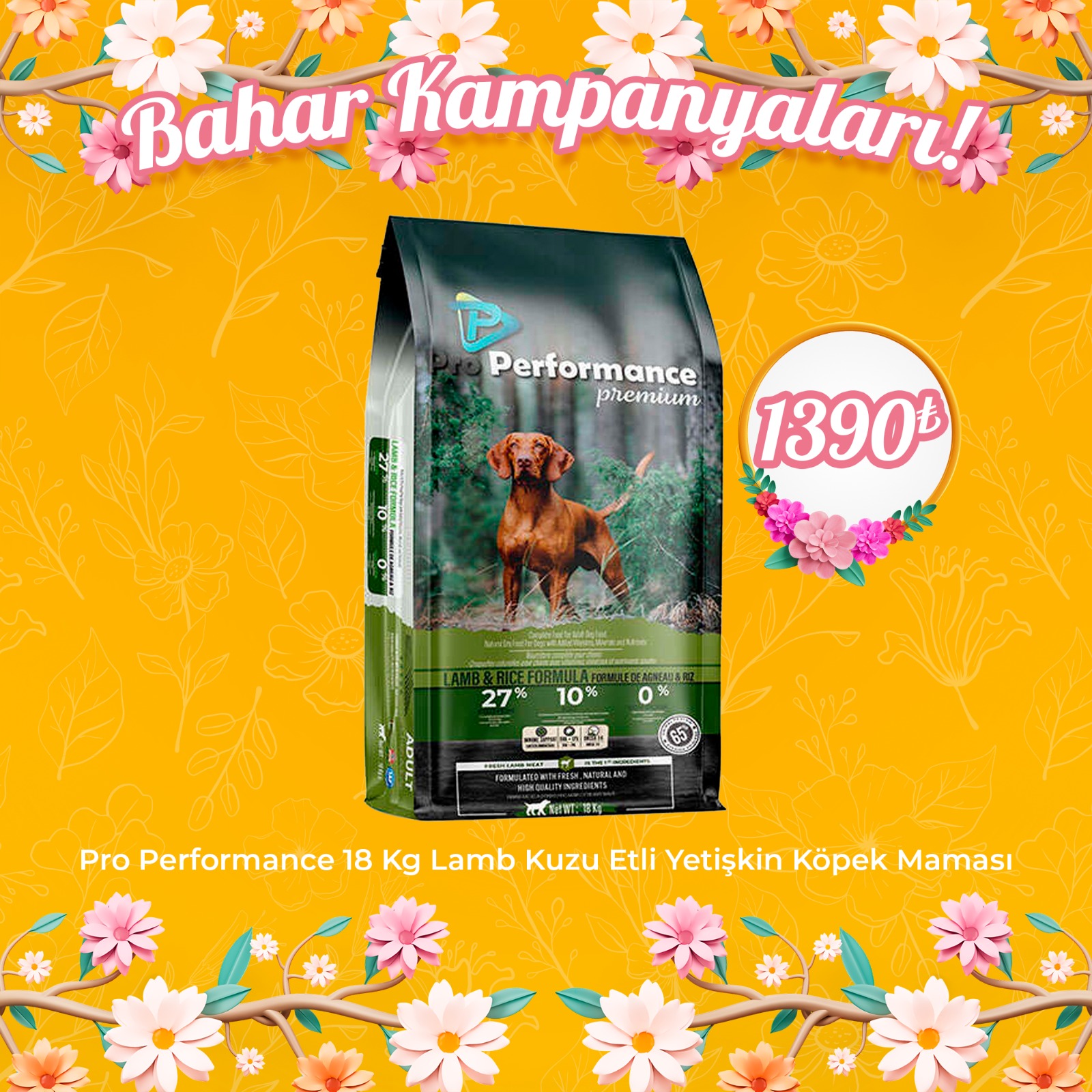 Pro Performance Premium Kuzu Etli Yetişkin Köpek Maması 18 Kg 