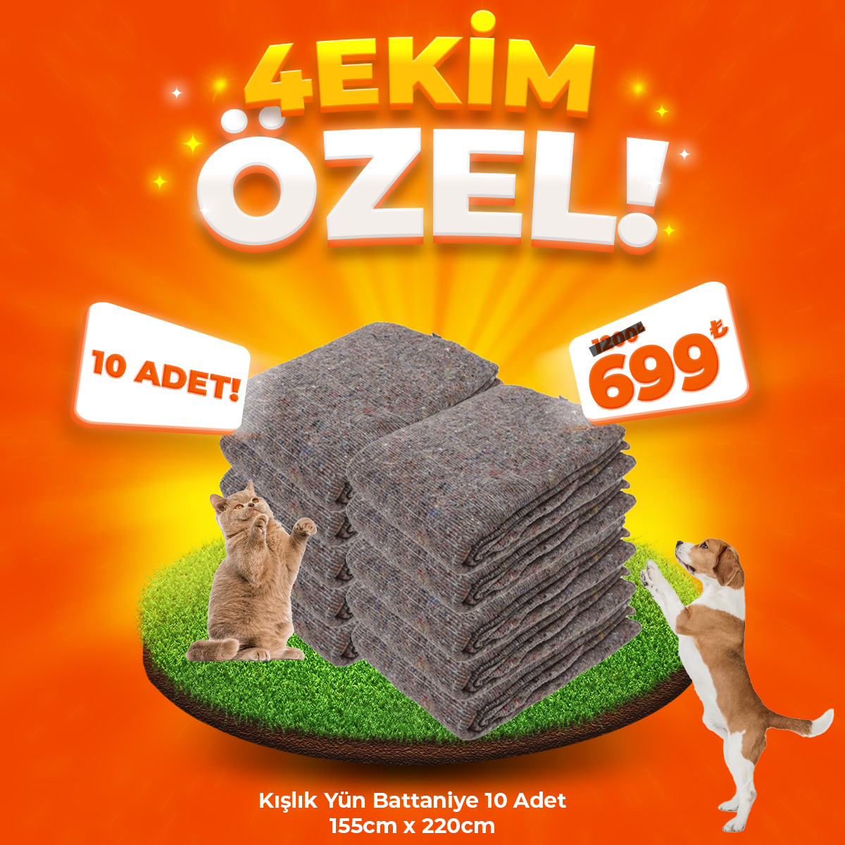 Kışlık Yün Battaniye 10 Adet