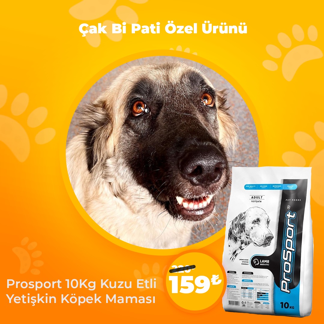 Çak Bi Pati Özel Ürünü