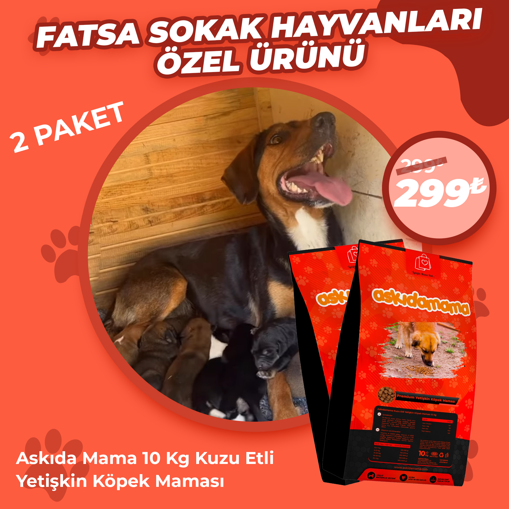 Fatsa Sokak Hayvanları Özel Ürünü