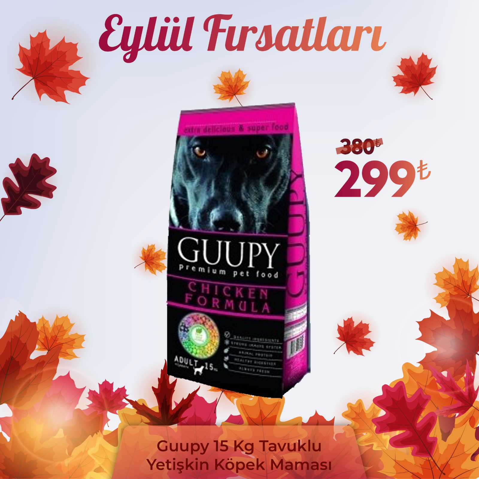 Guupy Tavuklu Yetişkin Köpek Maması 15 Kg