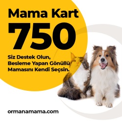 Mama Hediye Kartı 750