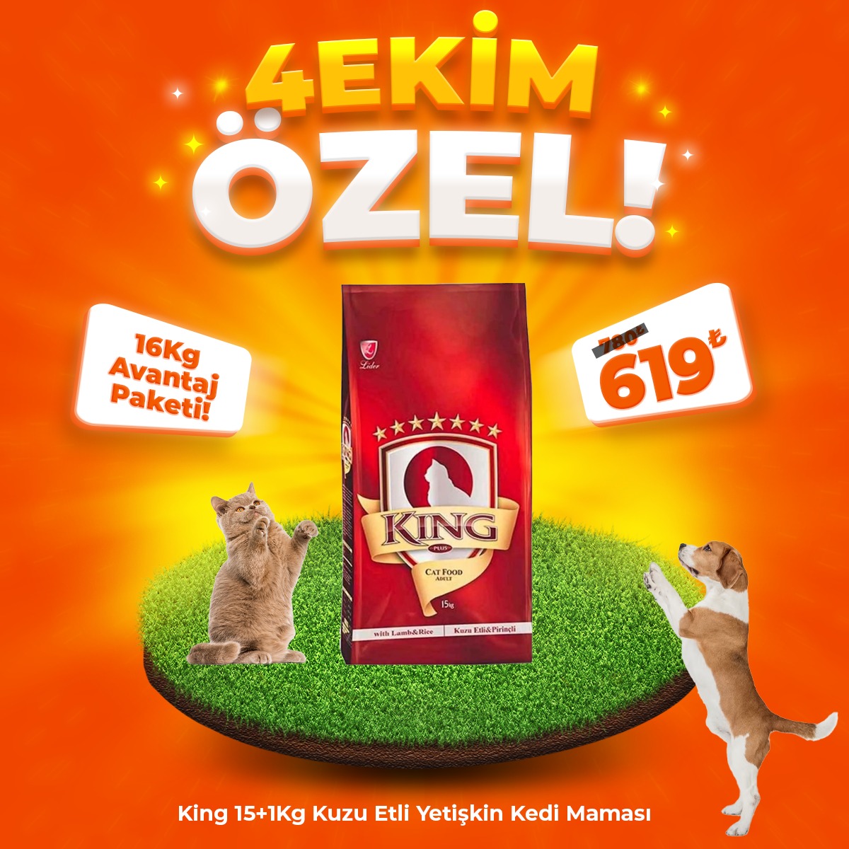 King Etli Yetişkin Kedi Maması 15+1 Kg Hediyeli (4 Ekim Özel)