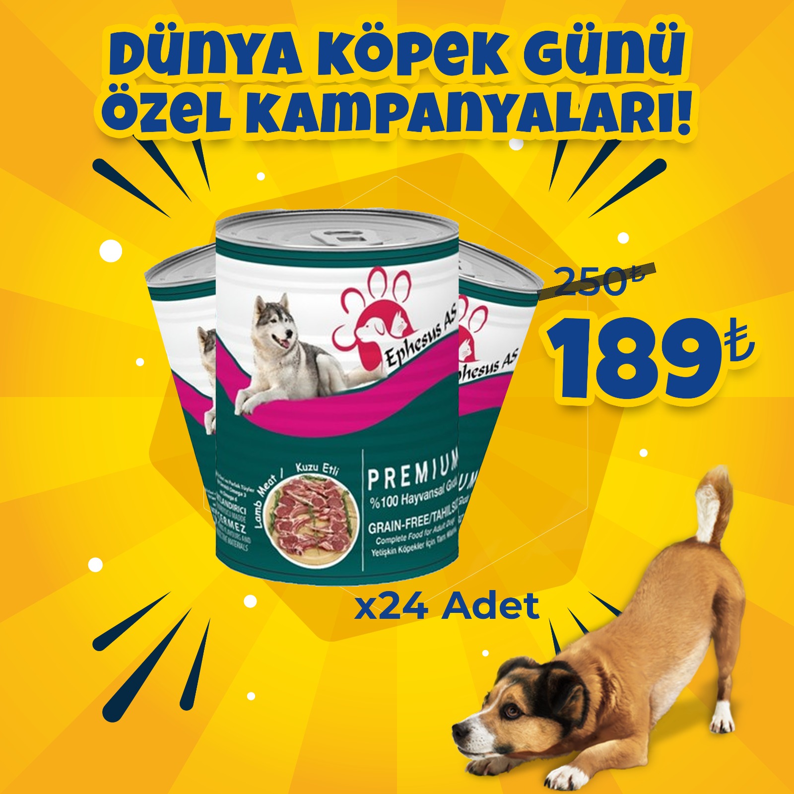 Ephesus As 415 gr x 24 Adet KÖPEK Konserve Çeşitleri