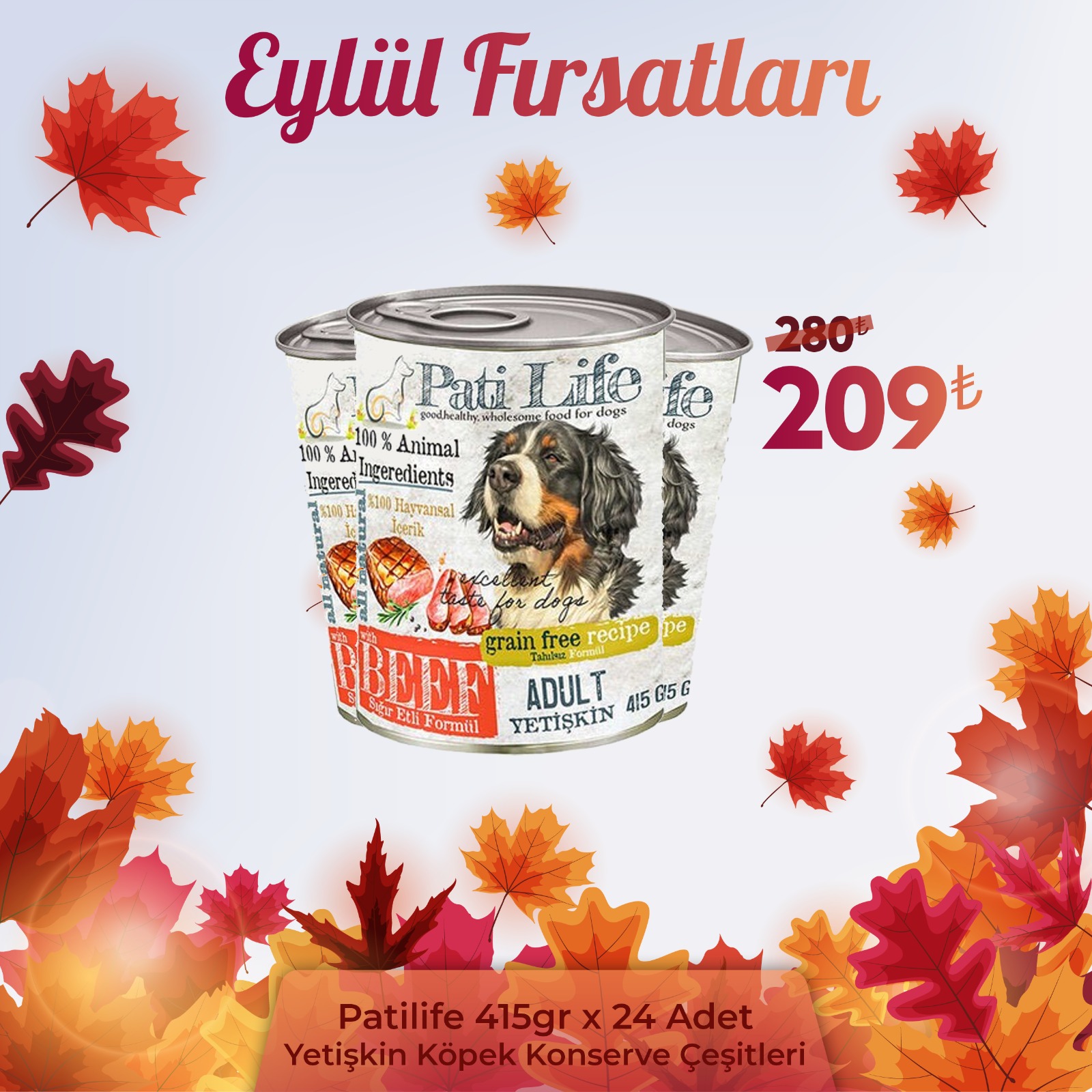 Pati Life Yetişkin Köpek Konservesi Çeşitleri 415 Gr 24 Adet