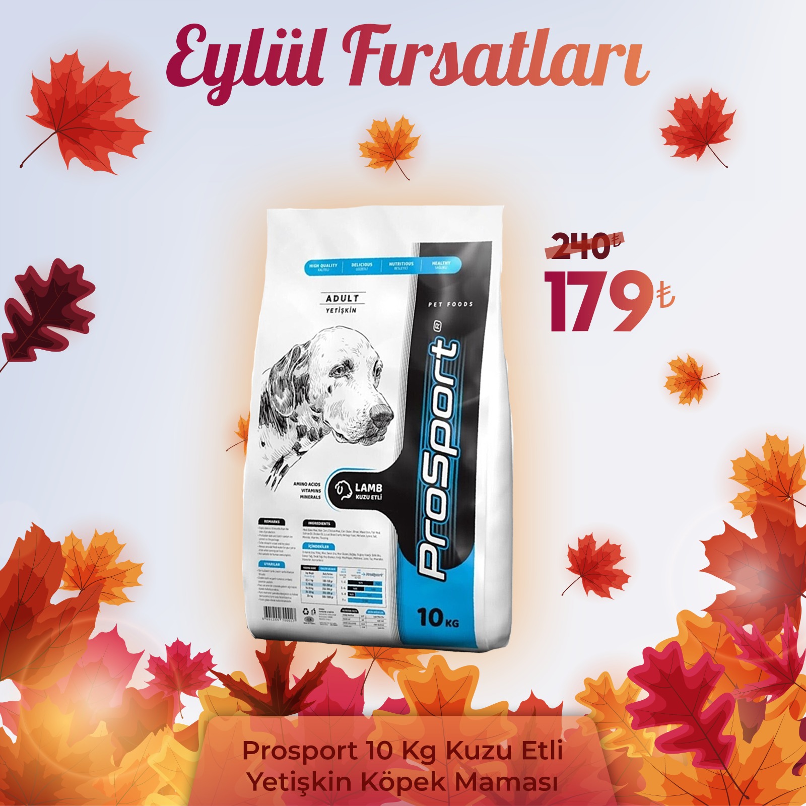ProSport Kuzu Etli Yetişkin Köpek Maması 10 KG