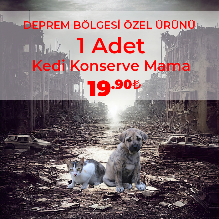 1 Adet Kedi Konserve Mama
