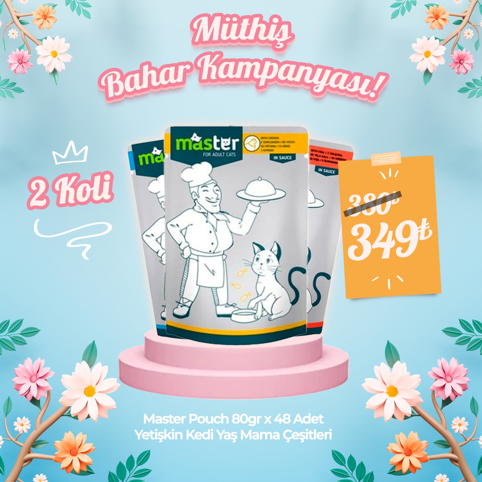 Master Pouch 80gr x 24 Adet Kedi Pouch Mama Çeşitleri (2 Koli Avantaj Paketi)