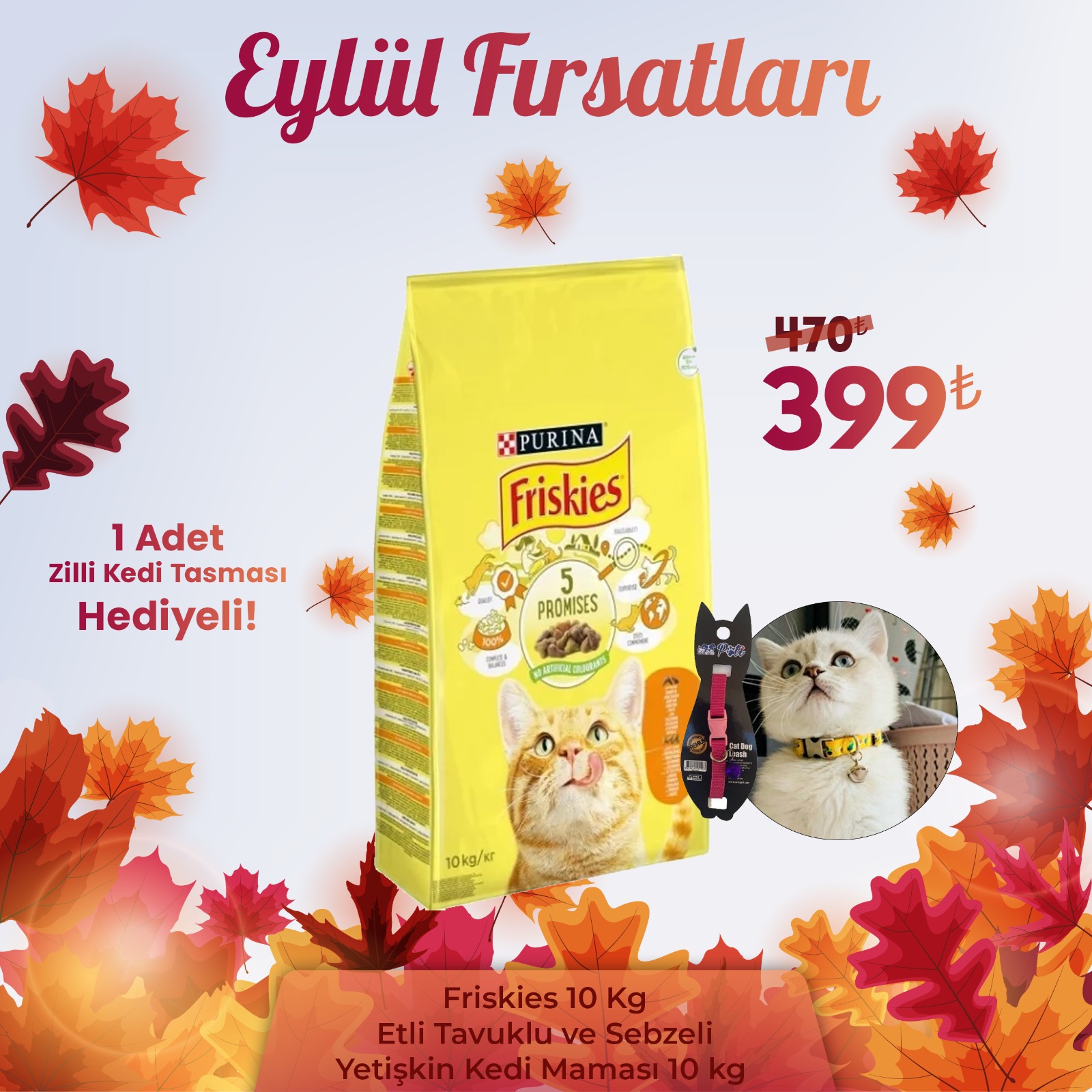 Friskies Etli Tavuklu ve Sebzeli Yetişkin Kedi Maması 10 kg + 1 Adet Zilli Kedi Tasması Hediyeli